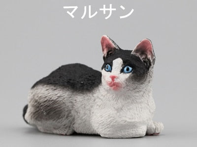 Japanese genuine bulks 28 sets cute pet puppies Ragdoll Bobtails Shorthair Ragdoll cats Akita Bulldog Foxhound desktop figure