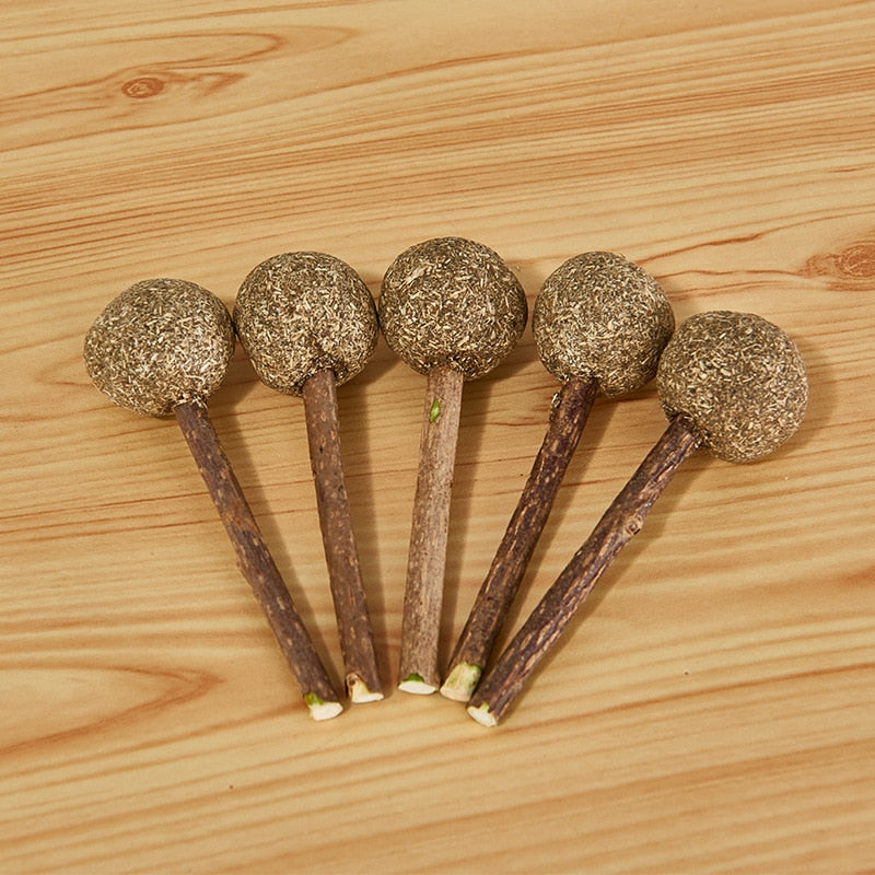 Pet Products Pet Cat Toys Natural Catnip Lollipop Shape Pet Molar Teeth Cat Toy Pet Christmas New Year Gift