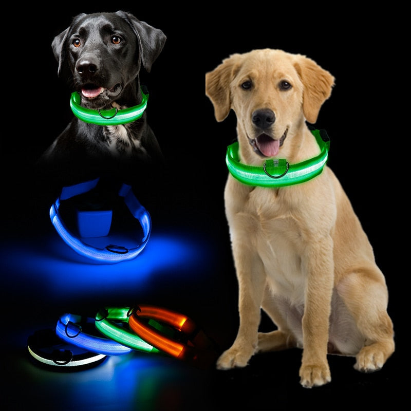 Hot Sale Flashing Glowing Gem Light LED Supplies Products Dog Light Pet Dog Collar Adjustable Small Pet Luminous Safety Collar