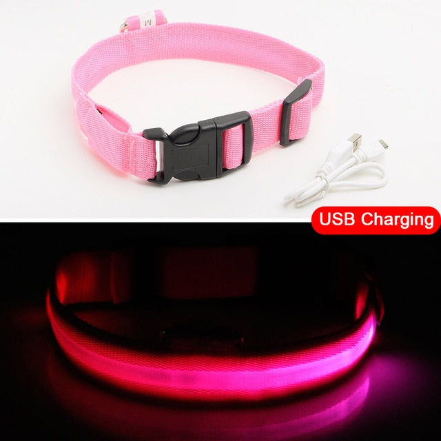 Glowing LED Dog Collar Anti-Lost Nylon Light Collar For Dogs Puppy at Night Cool Pug Dog Supplies Pet Products Accessories