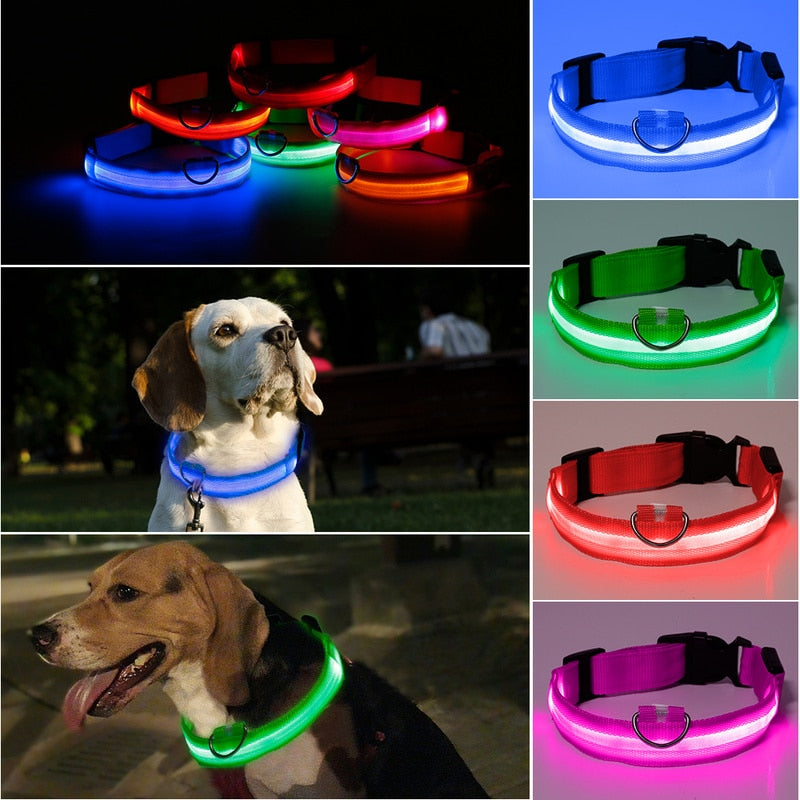 Hot Sale Flashing Glowing Gem Light LED Pet Dog Collar Adjustable Small Pet Luminous Safety Collar Supplies Products Dog Light